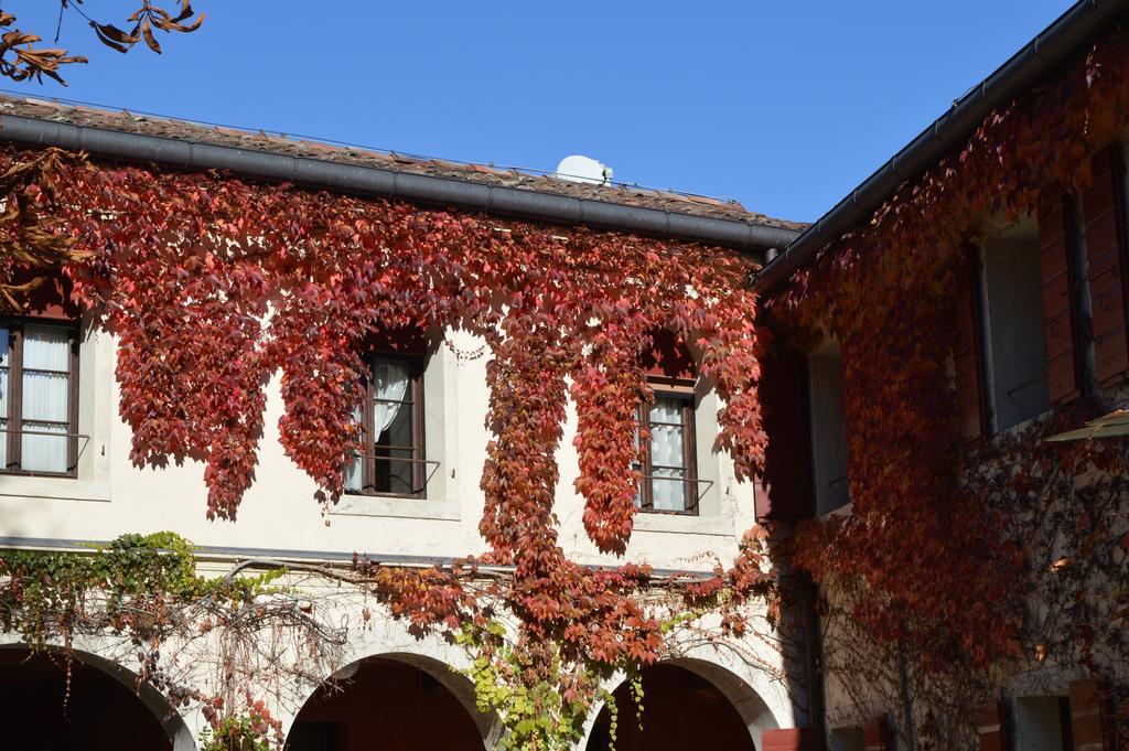 I Giardini Segreti Di Villa Marcello Marinelli Cison di Valmarino Zewnętrze zdjęcie